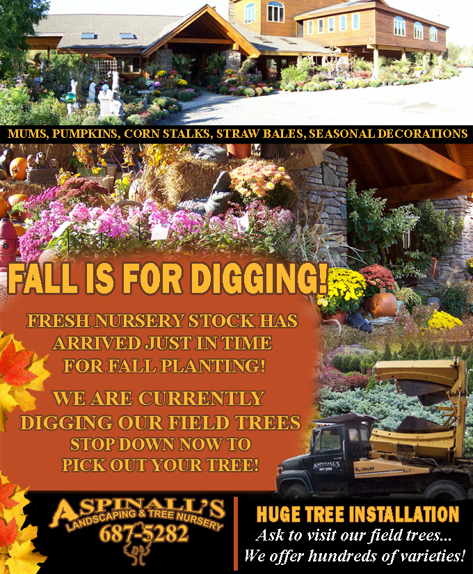 Aspinall's Landscaping and Tree Nursery Chittenango, NY